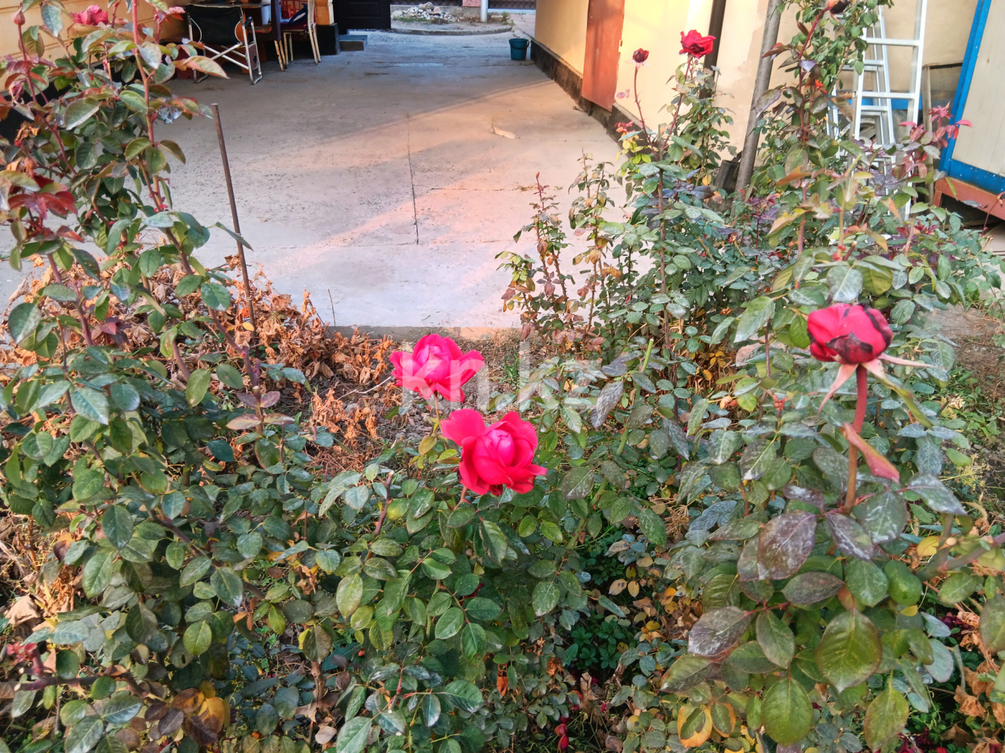 Продажа 4-комнатного дома, 90 м², ул. Урицкого - Продажа домов, коттеджей в Алматы с фото фото 26 из 31