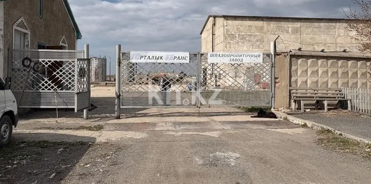 Продажа , 3000 м², Новоузенский с/о - Продажа жилой и коммерческой недвижимости в Казахстане фото 5 из 21