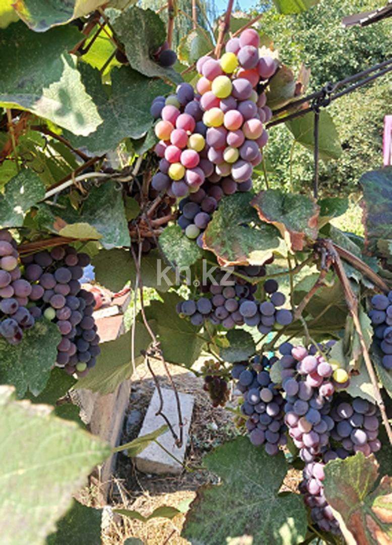 Продажа 4-комнатного дома, 90 м², ул. Урицкого - Продажа домов, коттеджей в Алматы с фото фото 29 из 31