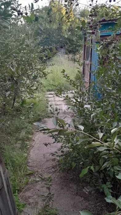 Продажа дачи, 9 сот. - Продажа дач в Караганде фото 4 из 16