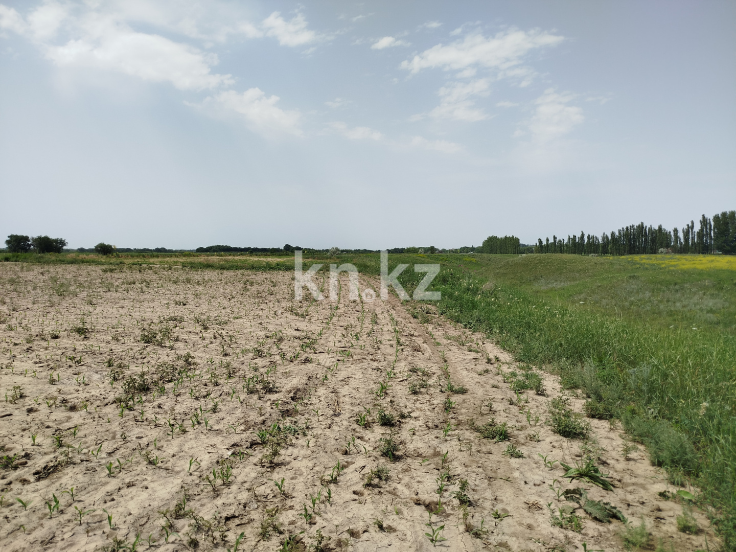 Продажа участка, 10 га - Продажа земельных участков в Казахстане фото 8 из 11