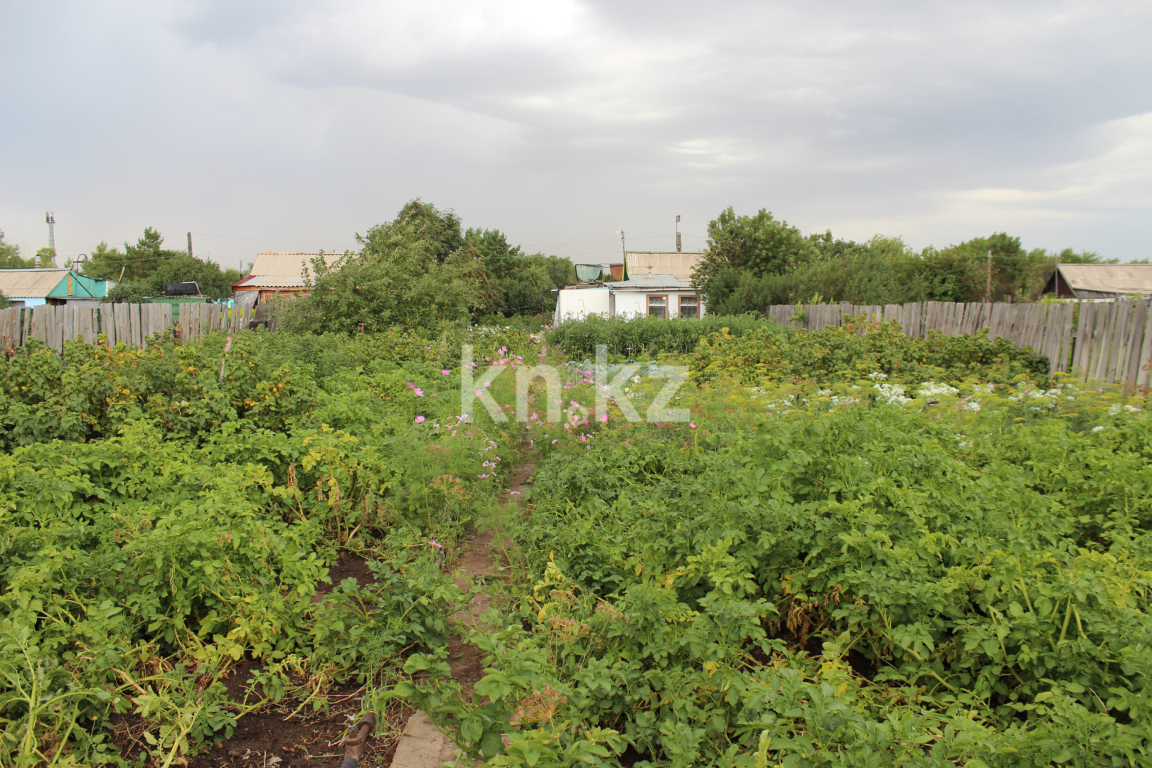 Продажа дачи, 8 сот., ул. Прогресса - Продажа дач в Караганде с фото фото 18 из 18