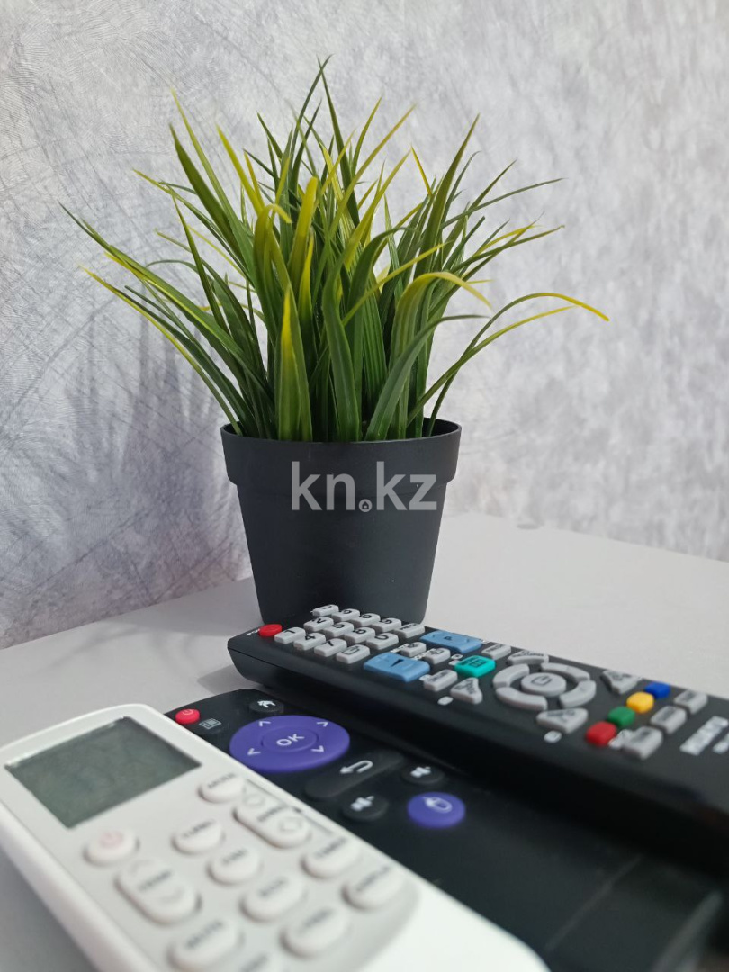 Аренда 1-комнатной квартиры посуточно, 31 м², Сабитовой, дом  23а - Аренда квартир посуточно в Балхаше фото 11 из 40