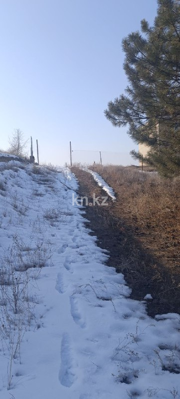 Продажа участка, 8 га - Продажа земельных участков в Алматинской области фото 11 из 30