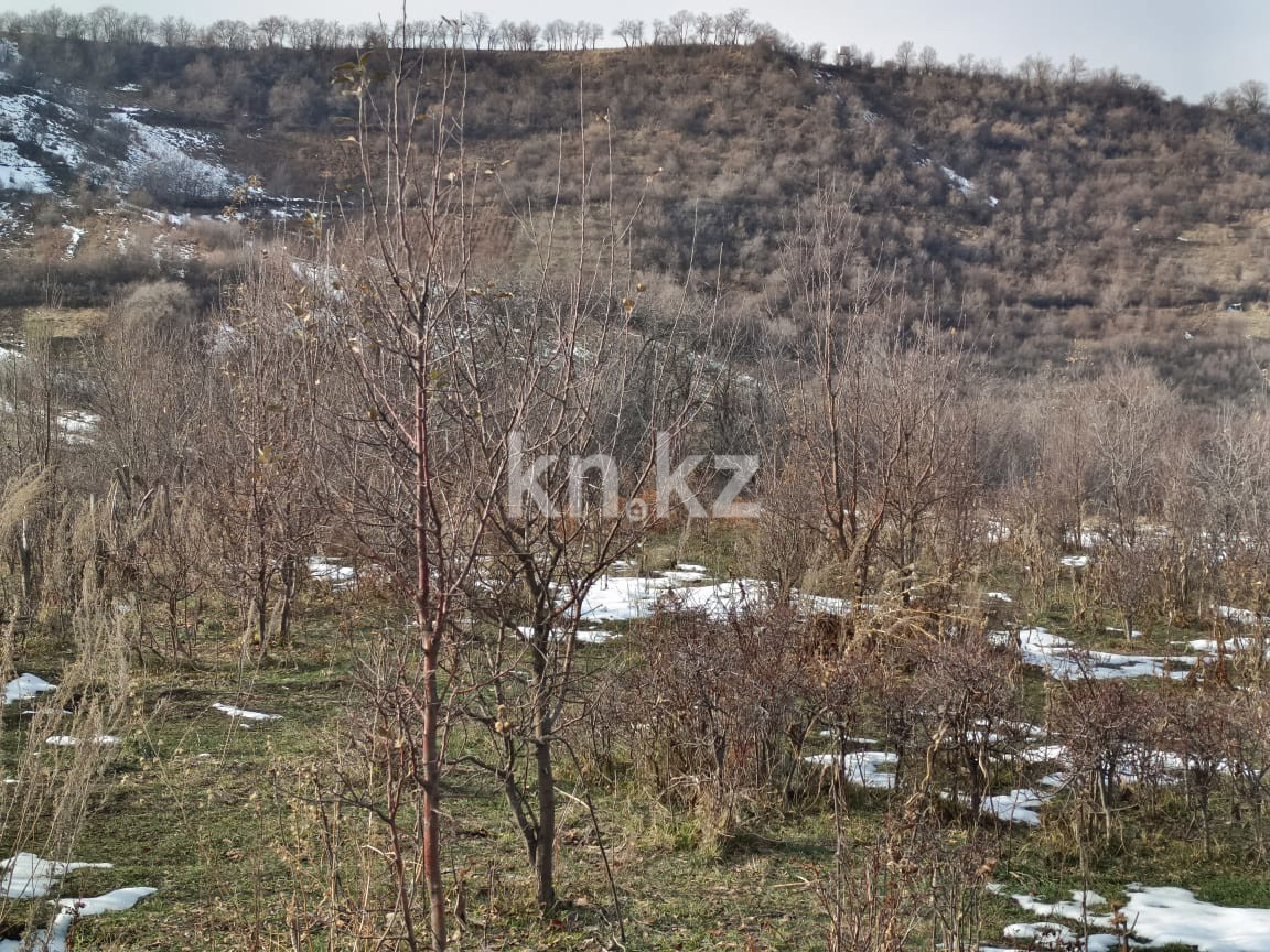 Продажа участка, 6000 м² - Продажа земельных участков в Алматы с фото фото 7 из 11