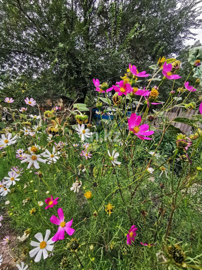 Продажа 4-комнатного дома, 60 м², Боралдай, ул.Сельский - Продажа домов, коттеджей в Алматинской области фото 9 из 14