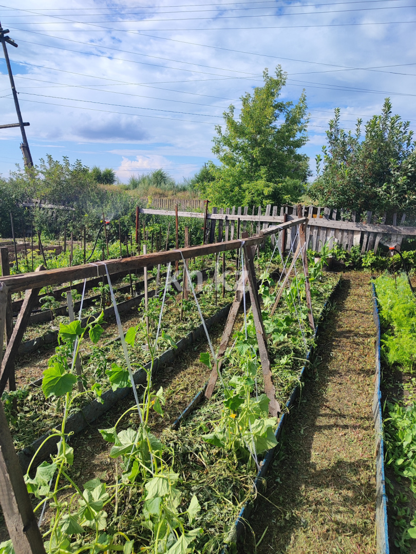 Продажа дачи, 8 сот. - Продажа дач в Темиртау фото 9 из 14