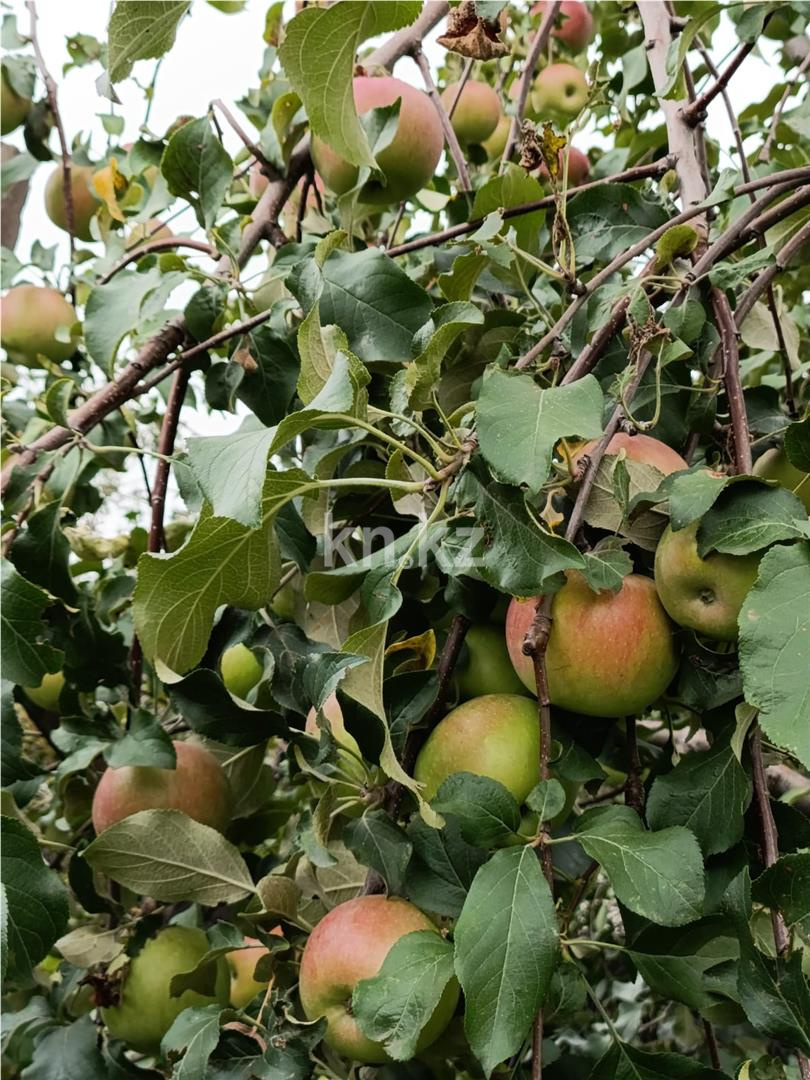 Продажа 4-комнатного дома, 80.4 м² - Продажа домов, коттеджей в Караганде фото 16 из 16