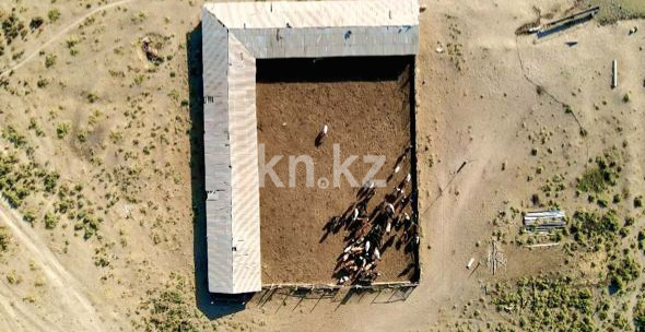 Продажа , 1200 м², ЖМ Алтынтобе, дом  1 - Продажа квартир в Шымкенте фото 10 из 30