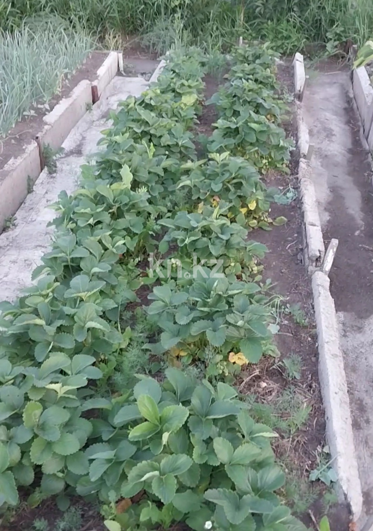 Продажа дачи, 8 сот. - Продажа дач в Караганде фото 10 из 14