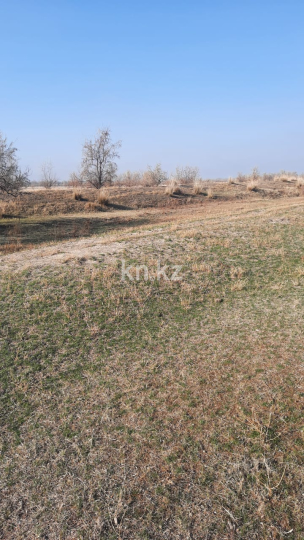 Продажа участка, 30 га - Недвижимость в Алматинской области - страница 3 фото 2 из 2