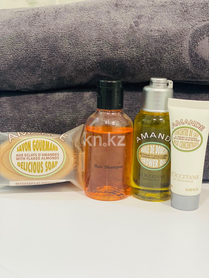 Аренда 1-комнатной квартиры посуточно, 36 м², ул. Айтиева, дом  154/1 - Аренда  однокомнатных квартир посуточно в Алматы фото 11 из 11