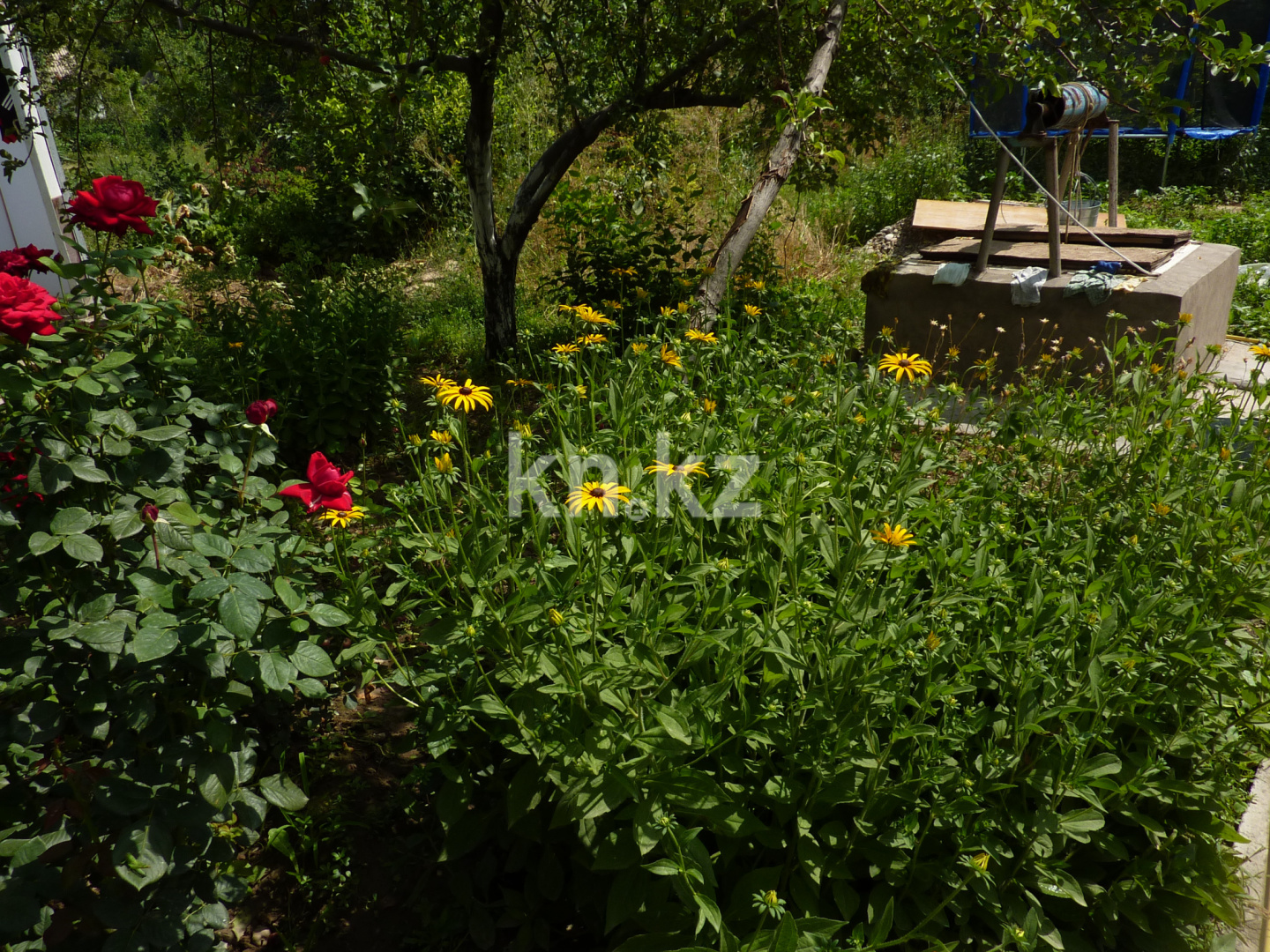 Продажа дачи, 8 сот. - Недвижимость в Шымкенте - страница 2 фото 7 из 13