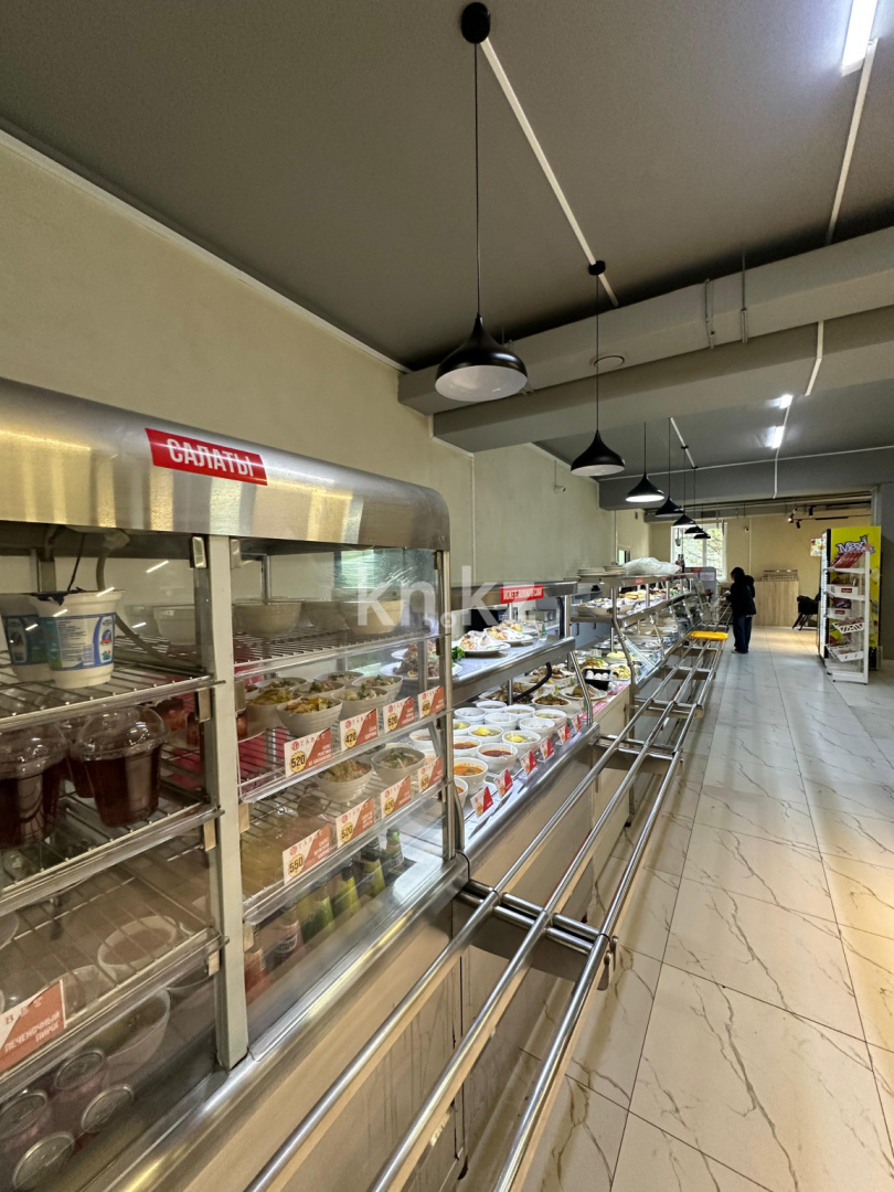 Продажа , 340 м², ул. Шаяхметова, дом  1111 в Шымкенте - фото 24