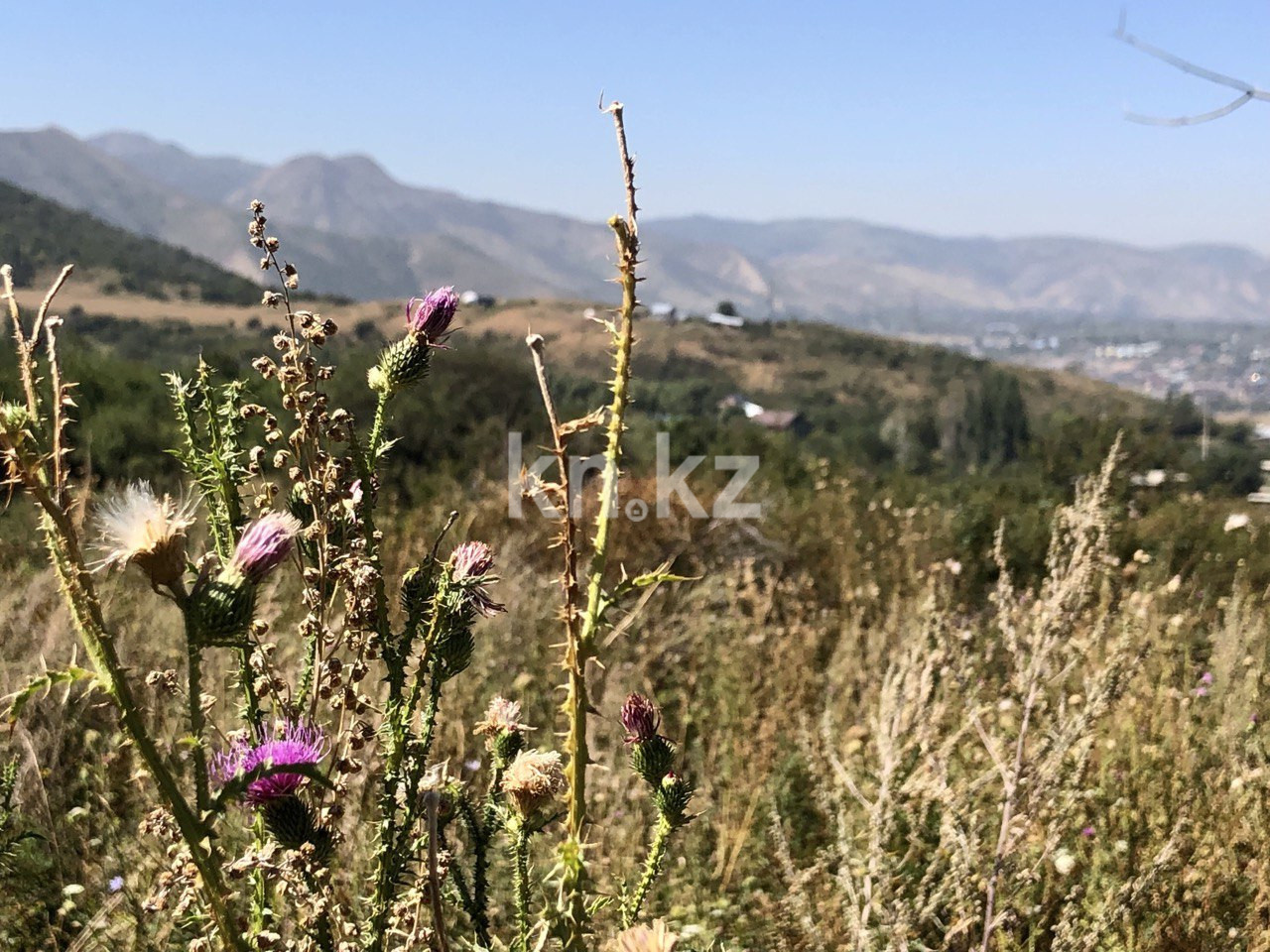 Продажа земельного участка, 2 га, Талгарский - Продажа и аренда недвижимости в Талгаре фото 7 из 17