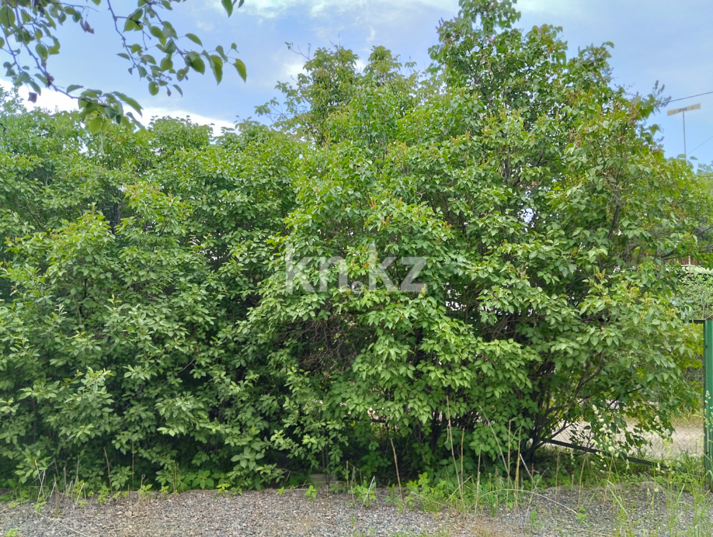 Продажа дачи, 11 сот., Юбилейный с. о. - Продажа квартир в Алматинской области фото 23 из 26