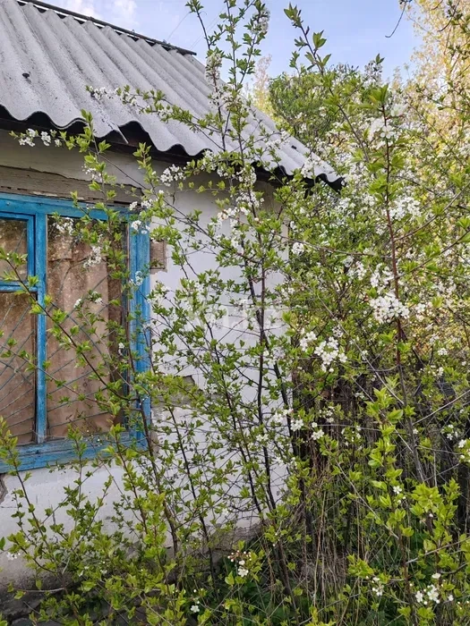 Продажа дачи, 9 сот. - Продажа дач в Караганде фото 11 из 16