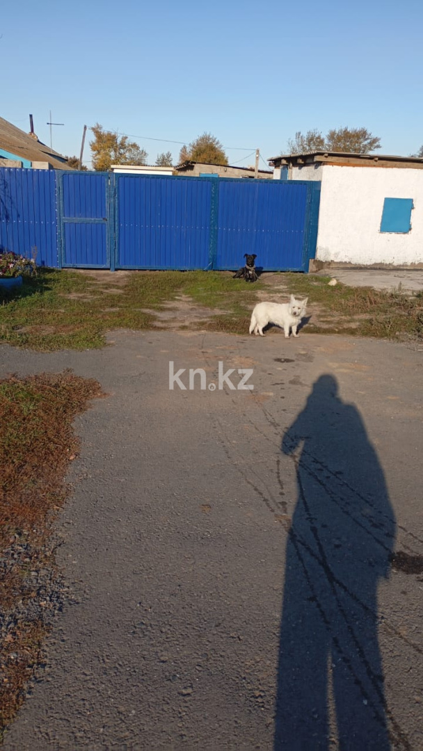 Продажа 4-комнатного дома, 89 м², ул. Желтоксан, дом  50 - Продажа домов, коттеджей в Астане с фото фото 4 из 17