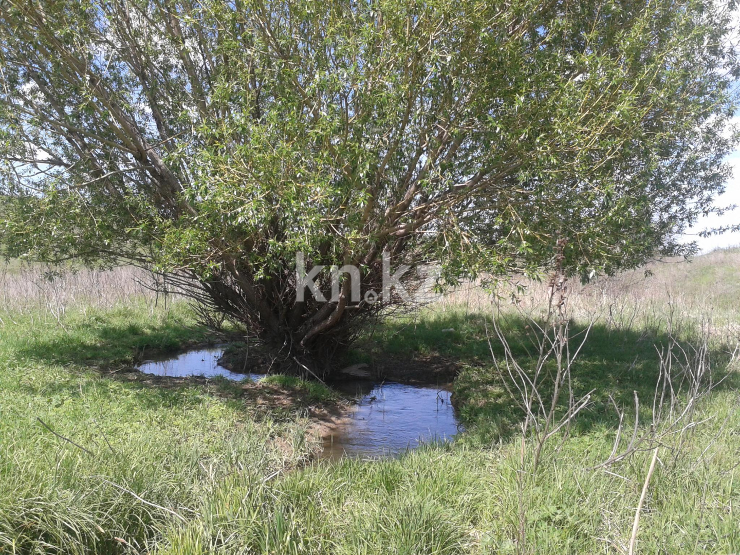 Продажа земельного участка, 10 га, Карой п. - Продажа земельных участков в Алматы фото 3 из 7