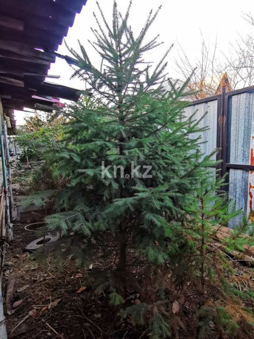 Продажа 5-комнатного дома, 178 м², Боралдай п. - Продажа домов, коттеджей в Алматинской области фото 5 из 30