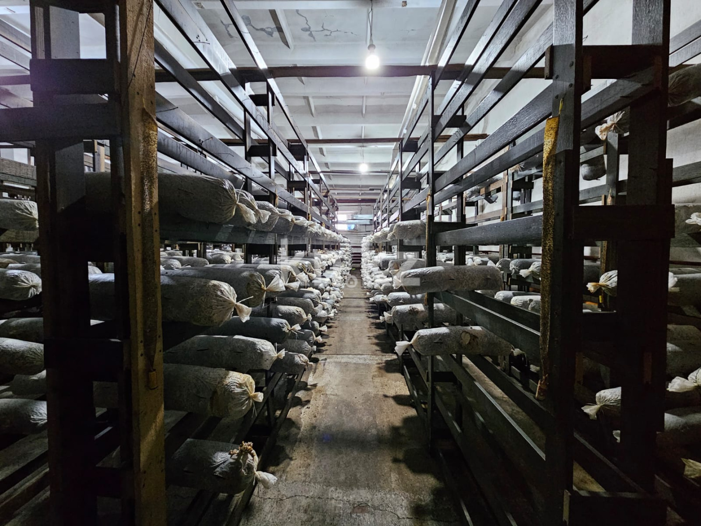 Продажа , 1500 м², ул. Абая, дом  225а - Продажа действующего бизнеса в Темиртау фото 12 из 28