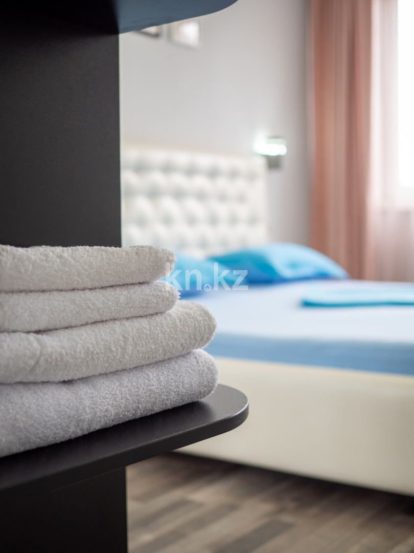 Аренда 2-комнатной квартиры посуточно, 57 м², ул. Навои, дом  208/8 - ул. Торайгырова - Аренда  двухкомнатных квартир посуточно в Алматы фото 3 из 24