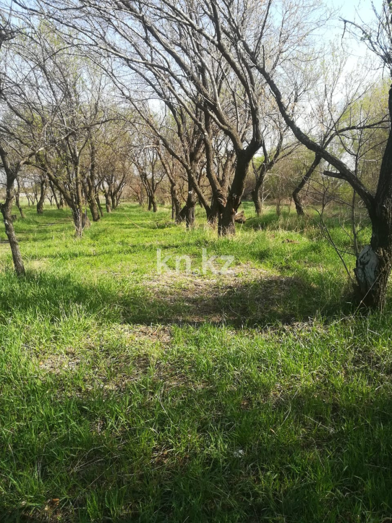 Продажа земельного участка, 50 сот., Азат п. - Продажа земельных участков в Алматинской области фото 4 из 11