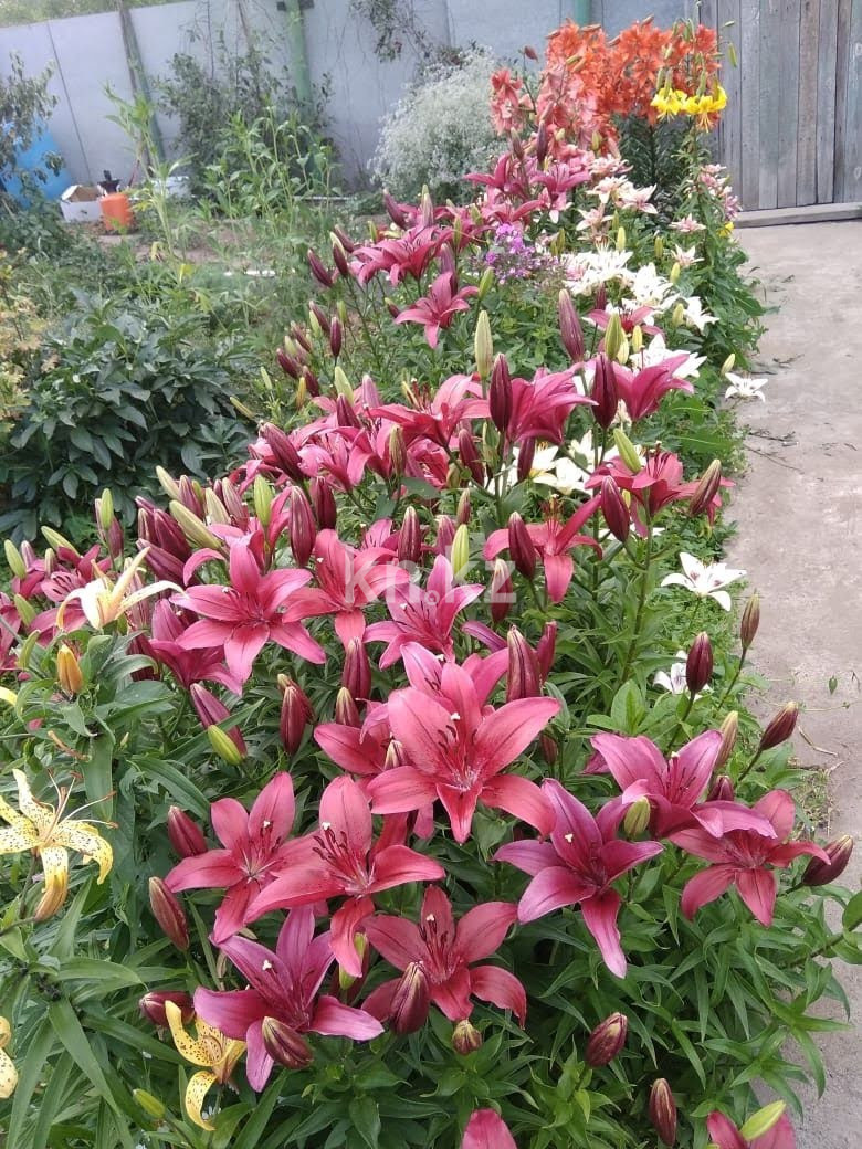 Продажа 3-комнатного дома, 80 м², Сейфуллина, дом  125 - Продажа и аренда недвижимости в Павлодаре фото 11 из 11