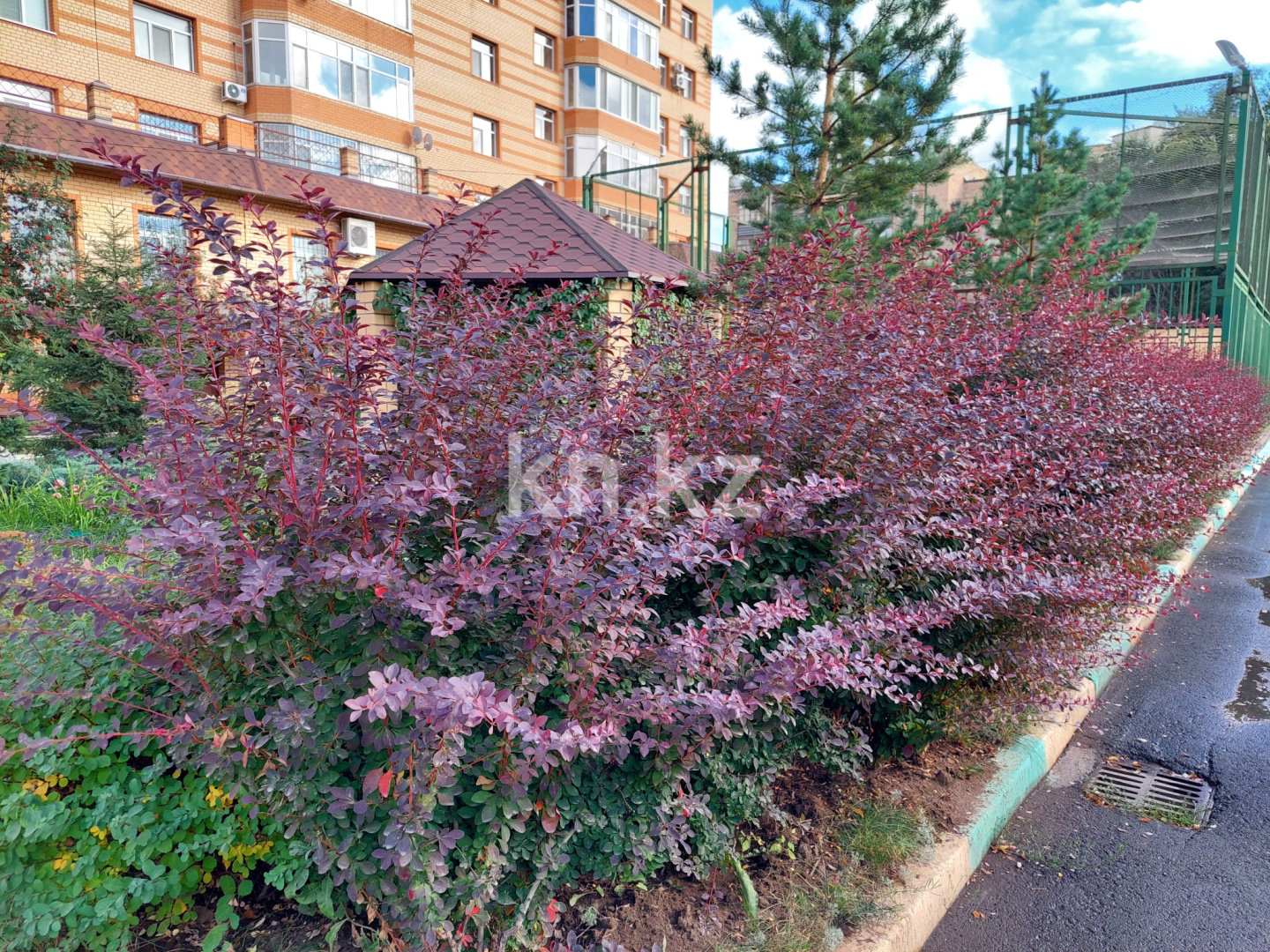 Продажа 1-комнатной квартиры, 72 м², ул. Аманжолова, дом  41 - Продажа  однокомнатных квартир в Караганде фото 2 из 14