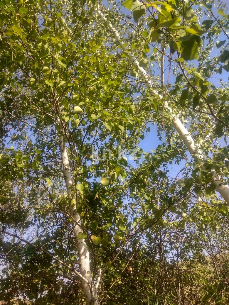 Продажа дачи, 7.55 сот. - Продажа дач в Алматы с фото фото 3 из 9