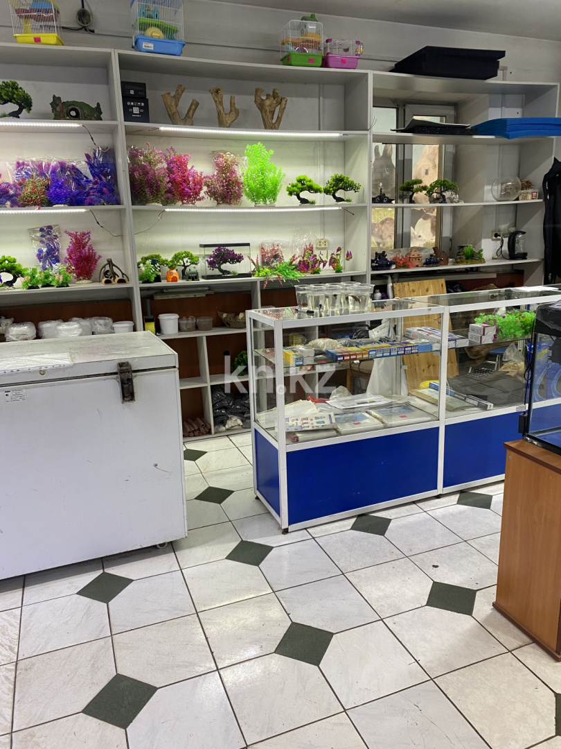 Продажа , 60 м², ул. Казахстанская, дом  22 - Продажа действующего бизнеса в Караганде фото 4 из 4