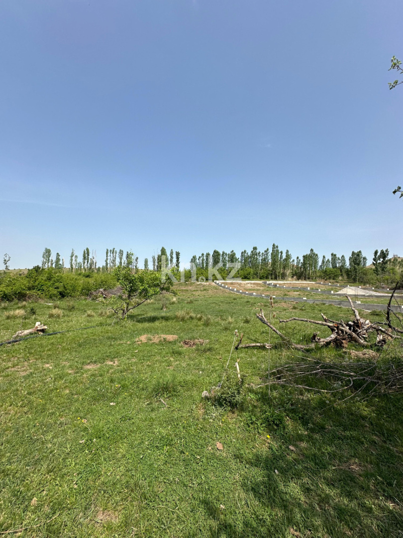 Продажа земельного участка, 10 сот., с. Бургулюк - Продажа земельных участков в Шымкенте фото 10 из 12