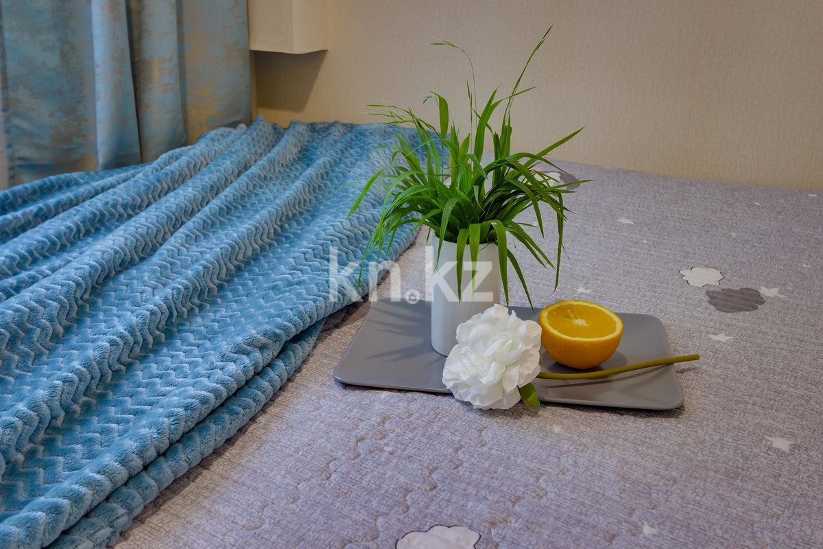 Аренда 1-комнатной квартиры посуточно, 10 м², мкр-н 1, дом  76 - Аренда  однокомнатных квартир посуточно в Алматы с фото фото 2 из 6