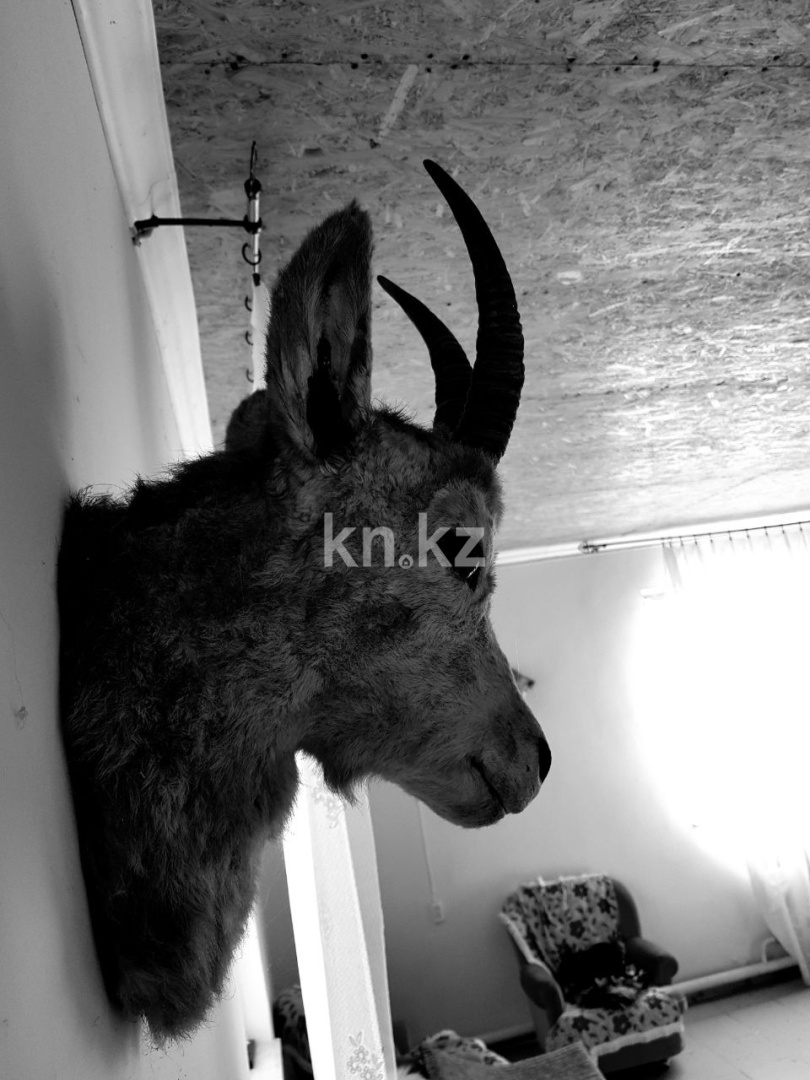 Продажа земельного участка, 300 га, Река Или - Продажа земельных участков в Алматы фото 13 из 13