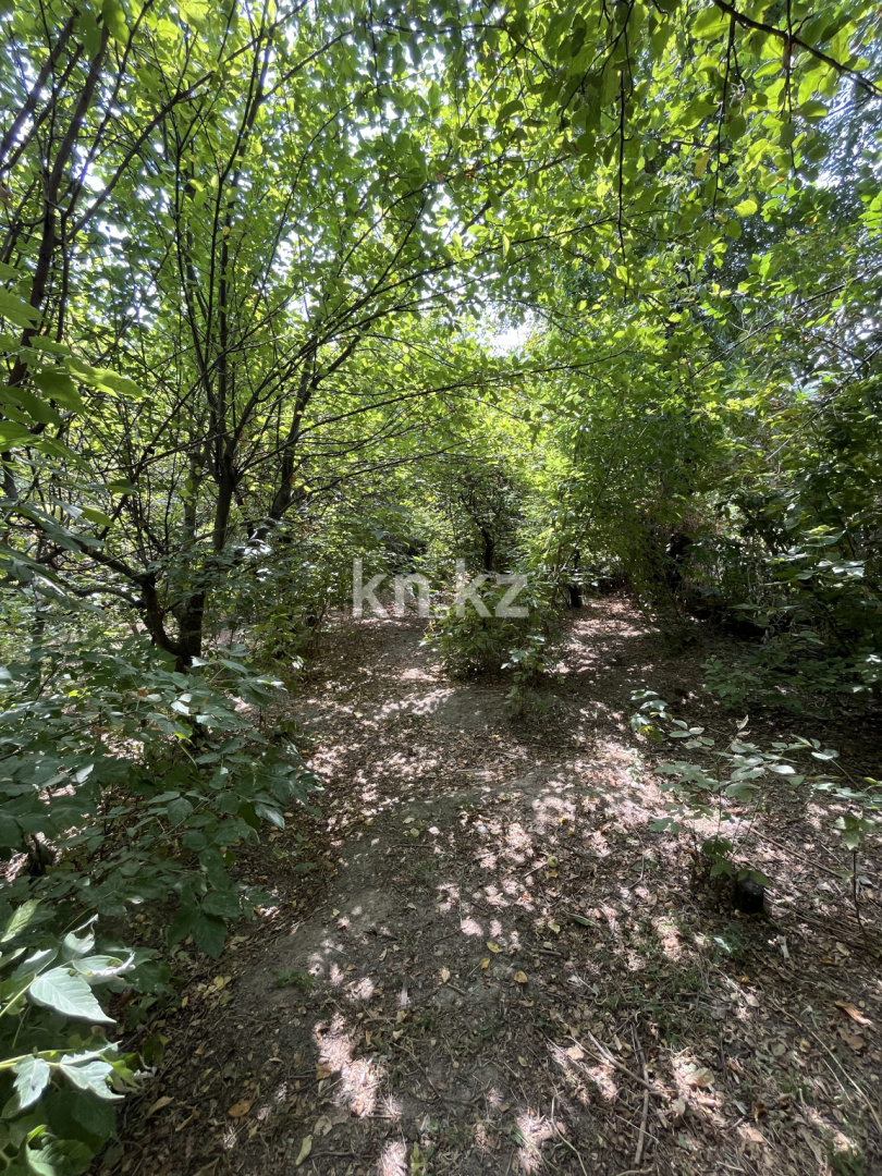 Продажа земельного участка, 22 сот., Маметова - Продажа земельных участков в Алматинской области фото 7 из 11