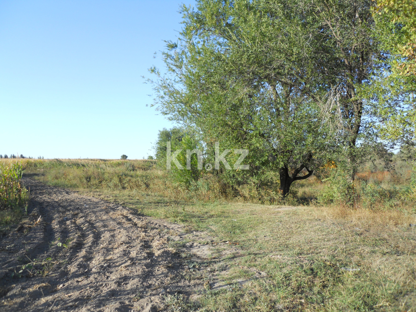 Продажа земельного участка, 10 га, Жанашар - Продажа земельных участков в Алматинской области фото 2 из 6