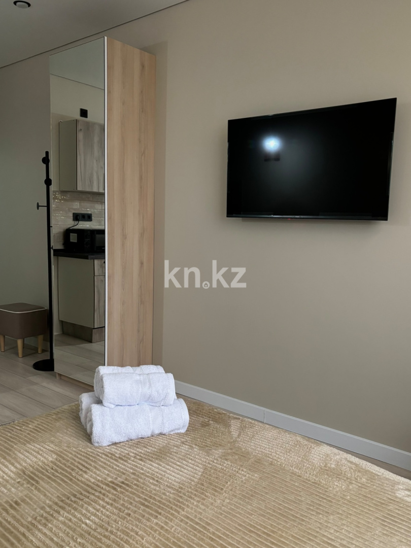 Аренда 1-комнатной квартиры посуточно, 27 м² - Аренда квартир посуточно в Казахстане фото 11 из 20