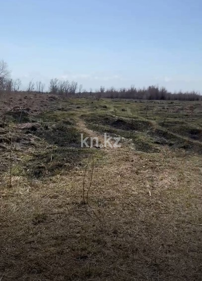 Продажа участка, 81 га - Продажа недвижимости в Казахстане - страница 9 фото 4 из 10