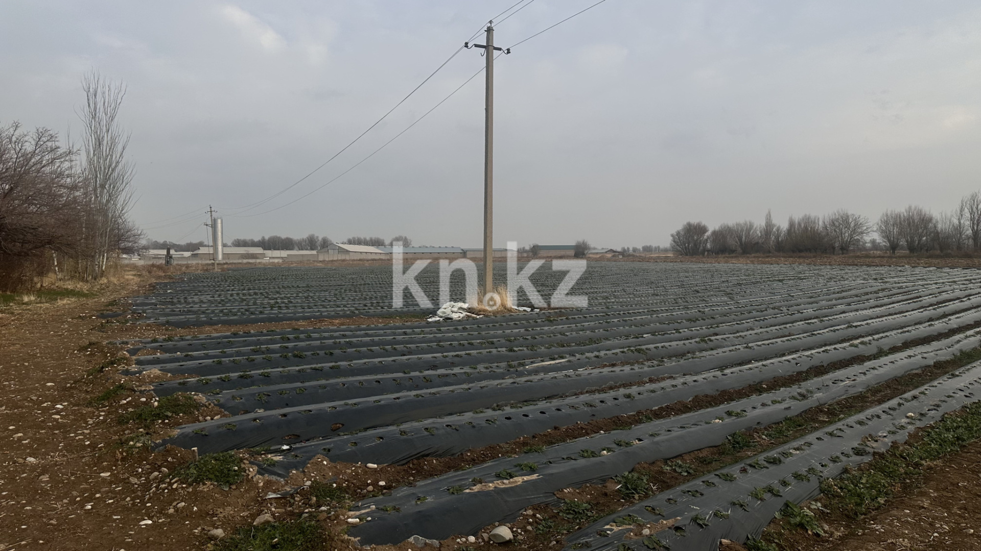 Продажа участка, 4.32 га - Недвижимость в Казахстане - страница 33 фото 2 из 2