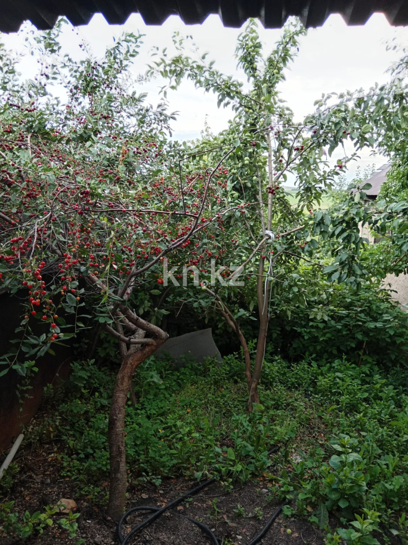 Продажа дачи, 21 сот. - Недвижимость в Казахстане - страница 33 фото 16 из 26