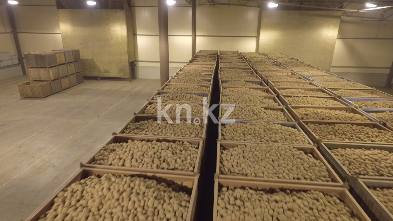 Продажа базы, 300 сот. - Продажа баз, складов и промышленной недвижимости в Алматы фото 2 из 12