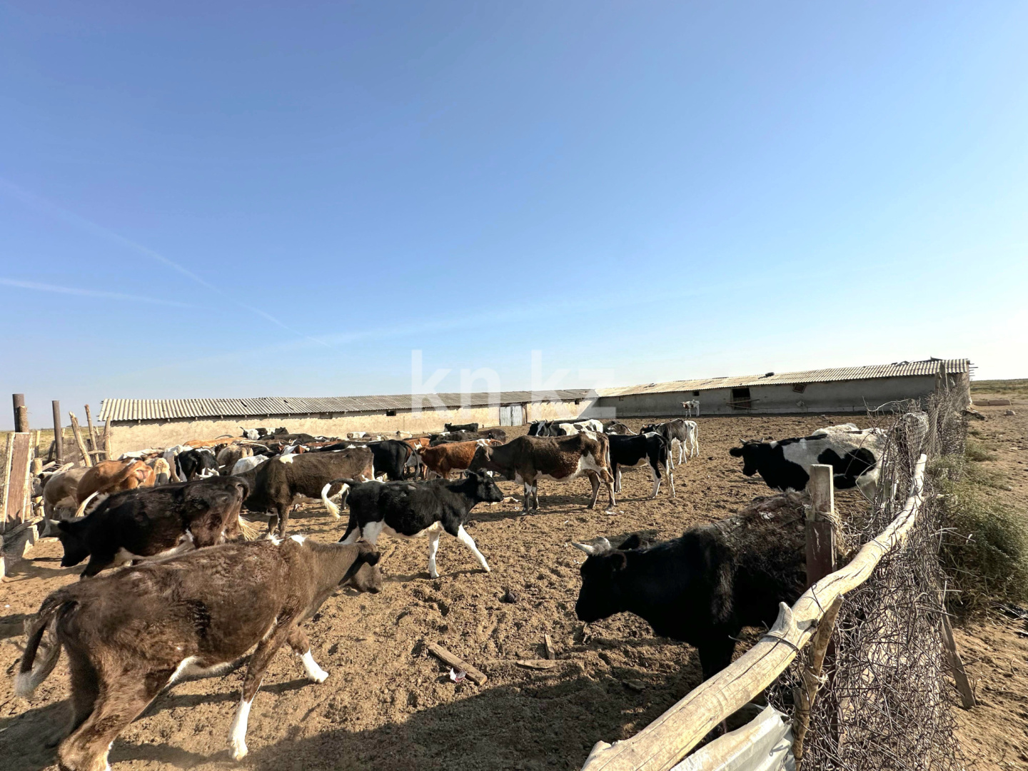 Продажа , 1200 м², ЖМ Алтынтобе, дом  1 - Продажа квартир в Шымкенте фото 25 из 30