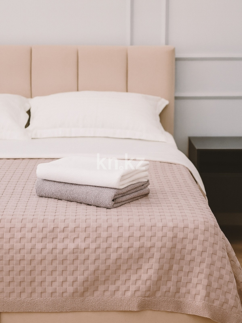 Аренда 1-комнатной квартиры посуточно, 48 м², ул. Аль-Фараби - Аренда квартир посуточно в Астане с фото фото 1 из 12