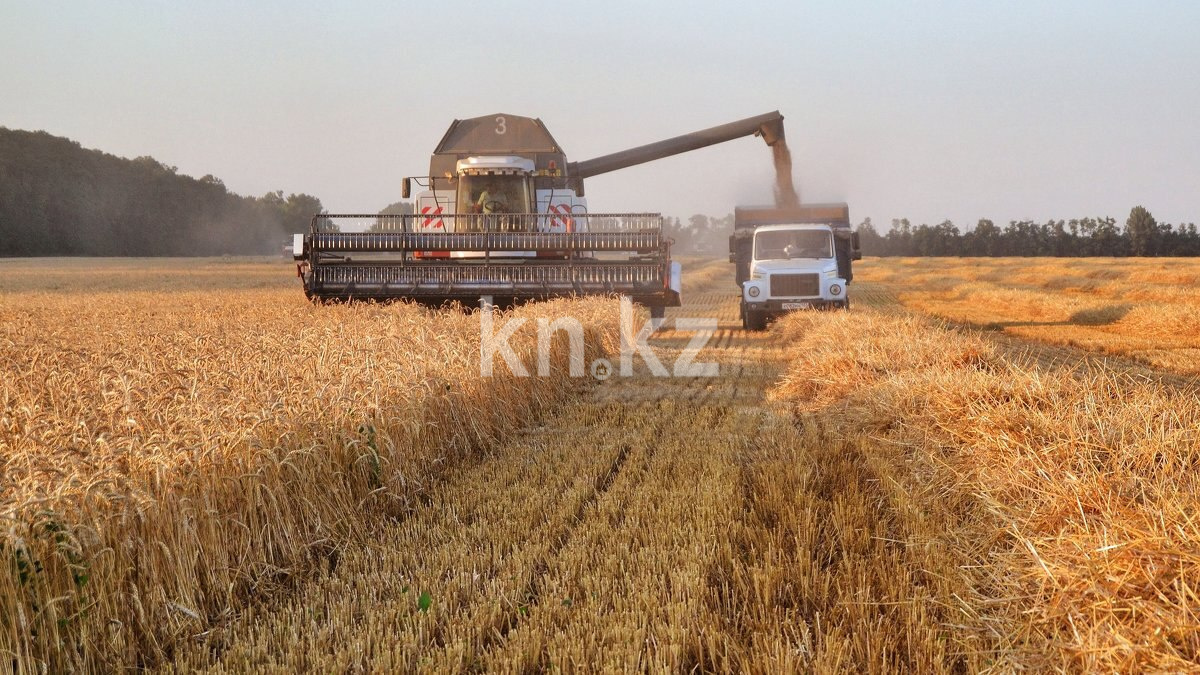 Продажа участка, 15000 га - Недвижимость в Костанае фото 1 из 1