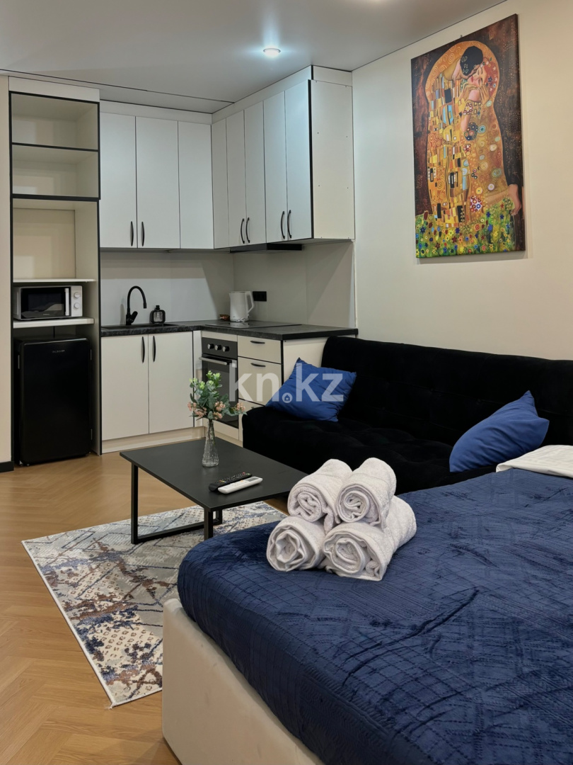 Аренда 1-комнатной квартиры посуточно, 27 м² - Аренда квартир посуточно в Казахстане фото 3 из 17