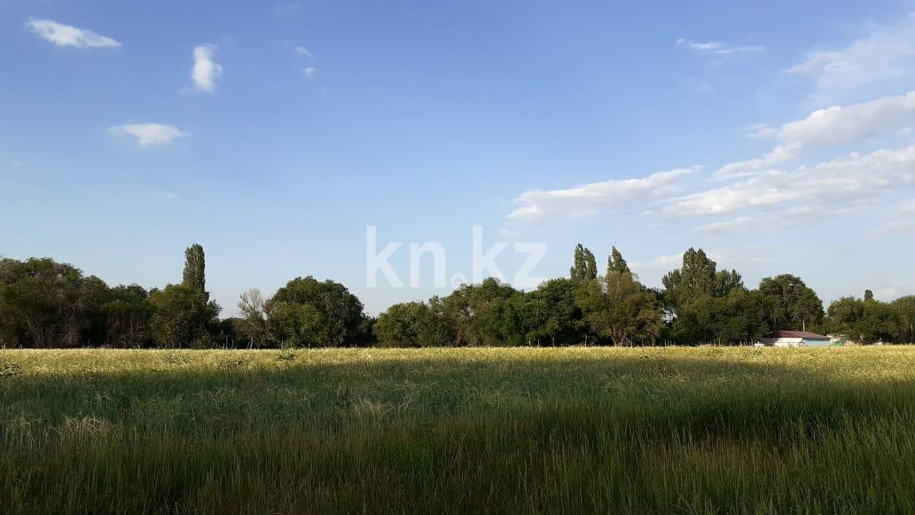 Продажа участка, 635 сот. - Продажа земельных участков в Казахстане фото 3 из 3