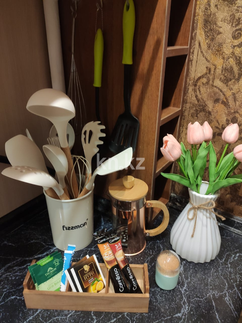 Аренда 1-комнатной квартиры посуточно, 48 м², ул. Бараева, дом  25 - ул. Валиханова - Продажа квартир в Казахстане фото 1 из 12