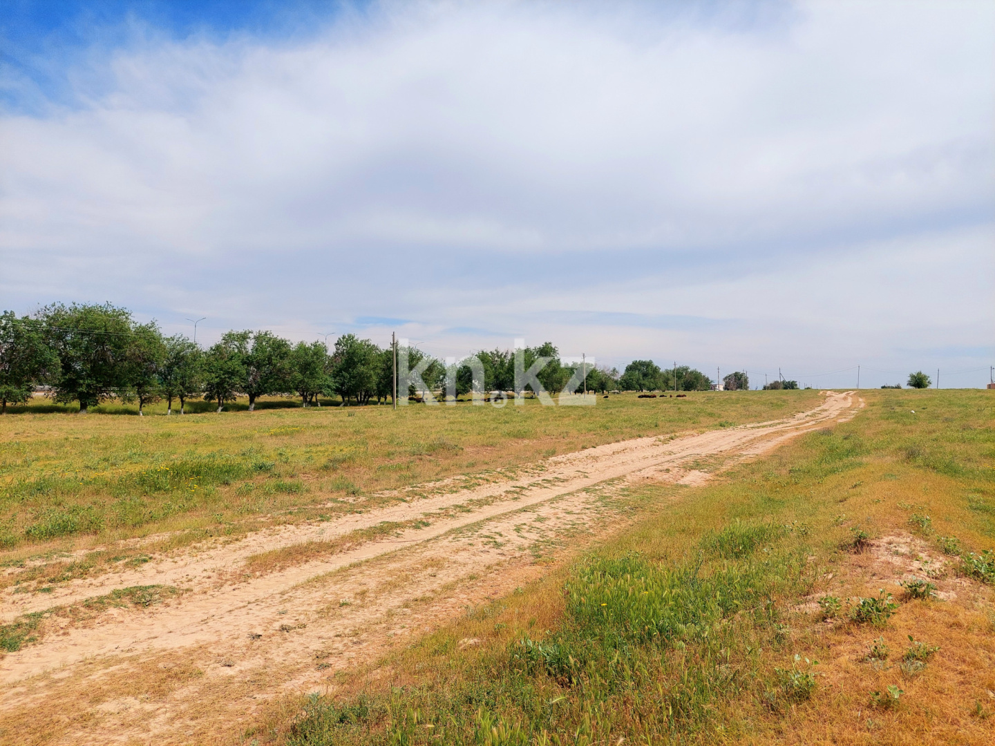 Продажа земельного участка, 3 га, Шубарсу - Продажа квартир в Шымкенте фото 23 из 27