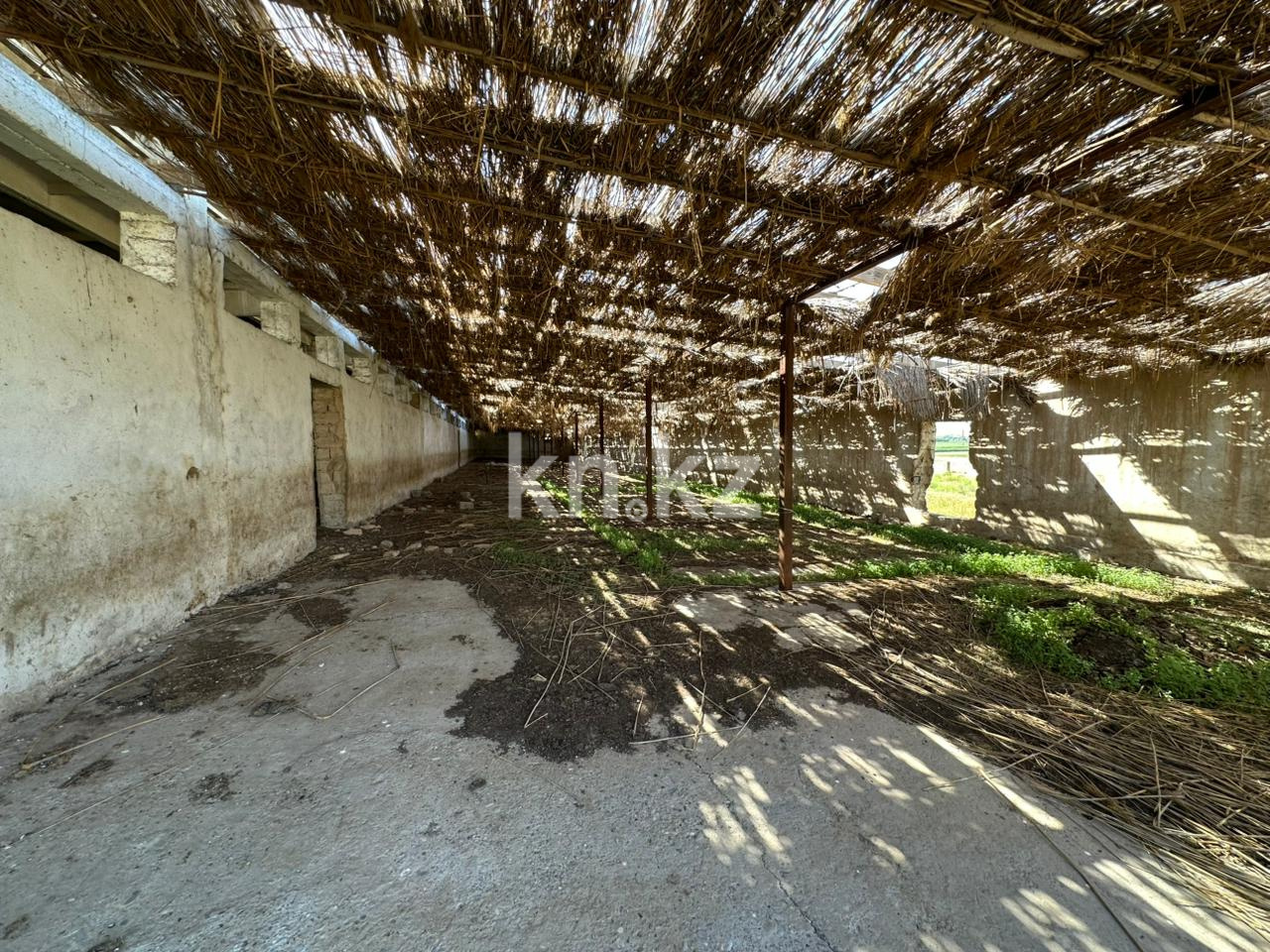 Продажа , 2922 м², Колкент, дом  1864 в Шымкенте - фото 9