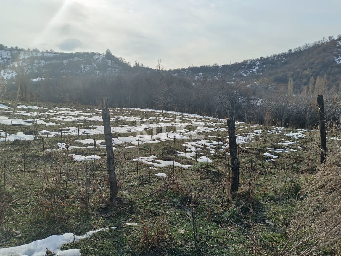 Продажа участка, 6000 м² - Продажа земельных участков в Алматы с фото фото 4 из 11